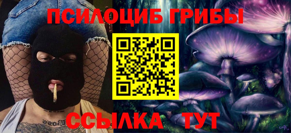 Галлюциногенные грибы ЛСД Гурьевск
