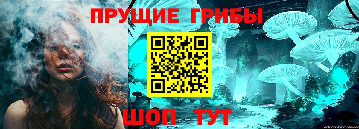 Псилоцибиновые грибы Cubensis  Вход с VPN  Гурьевск 